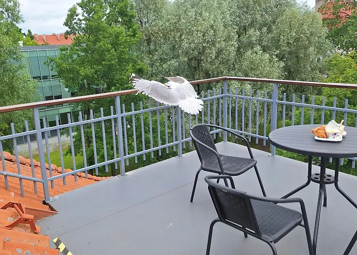 Kahe Suure Terrassiga Katusekorter